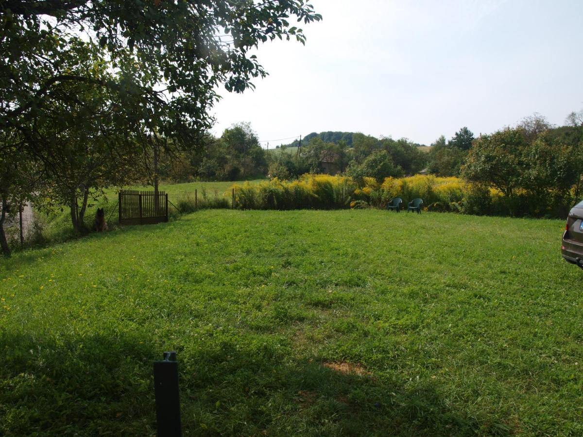 Vila Rozsa Haz Csernely Exteriér fotografie